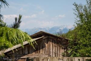 XC TRICHIANA  18-AGOSTO-2019