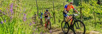 Cross Country Tra le Torri