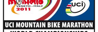 Aspettando il Mondiale...