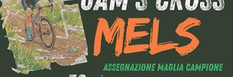 Volantino Jam's Cross Mels
