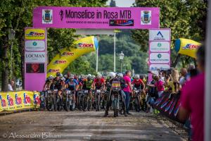 Monselice in Rosa