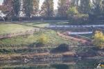 Brugherio International Cyclocross 2022