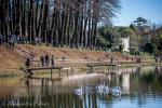 3° CX de La Motha - Trofeo Città di Motta di Livenza
