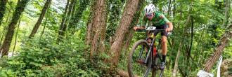 XCo Torreano 2026