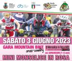 MINI MONSELICE IN ROSA CROSS COUNTRY